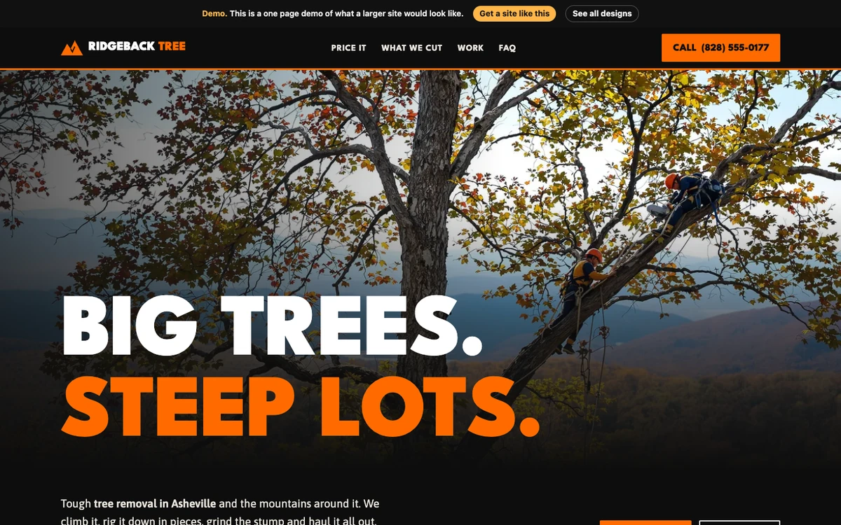 Chainsaw Bold website design on a desktop