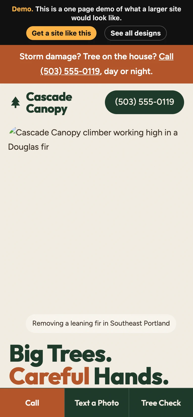 Earthy Editorial on a phone
