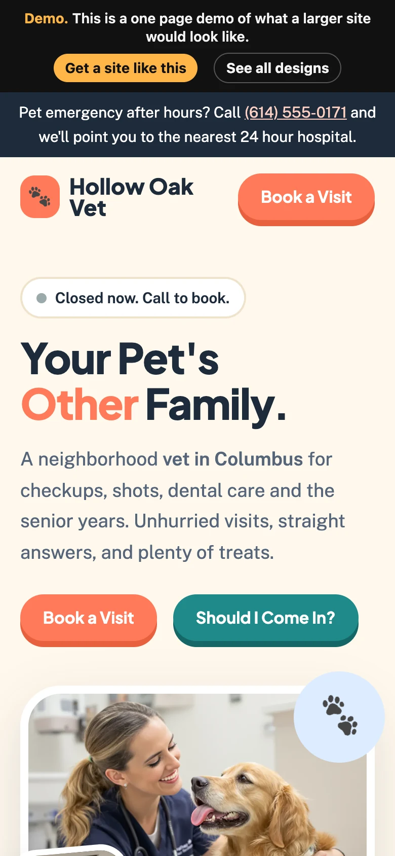 Warm and Playful on a phone