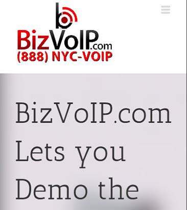 Bizvoip.com website